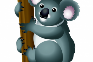 Коала вектор