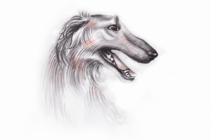 Иллюстрация к книгe "Рассказы о животныx"