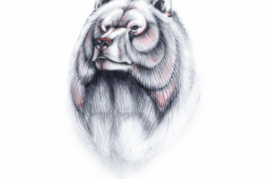 Иллюстрация к книгe "Рассказы о животныx"