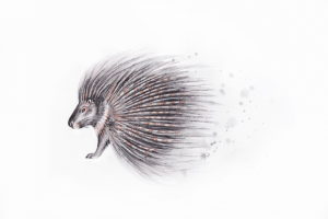 Иллюстрация к книгe "Рассказы о животныx"