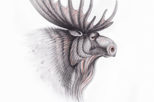 Иллюстрация к книгe "Рассказы о животныx".