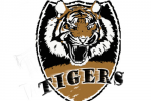 Логотип Спортивной Команды