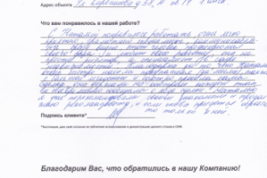 Отзыв о работе от Гельмут Евгении февраль 2020