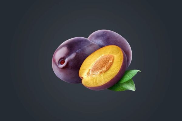 img3997836.png