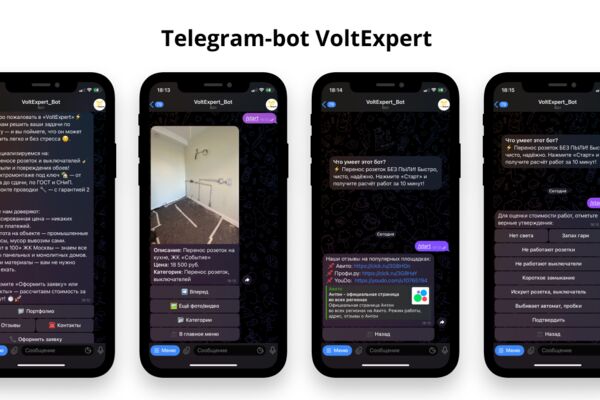 VoltExpert 1.png