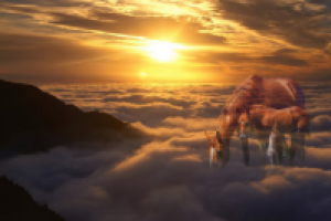 С жеребенком