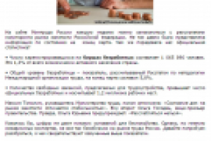 Обзор рынка труда России