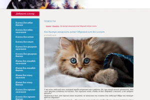 Как быстро накормить кота?