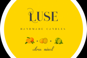 Работа 4036839