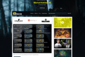 Любительская  киберспортивная  лига