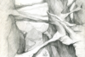 Скалистые деревья