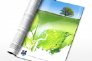 Модуль в журнал