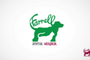 Вет. клиника