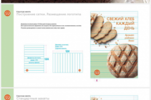 Guidlines & brand book