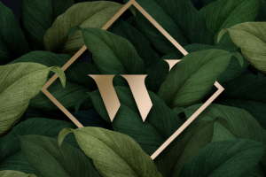 Работа 3700079