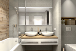 Совместный сан.узел