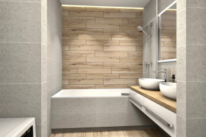 Совместный сан.узел