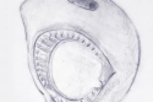 Корпус видеокамеры. Эскиз