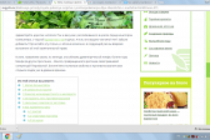 Свойства и противопоказания мяты перечной: проверено временем