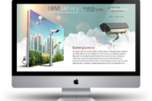 ИМагазин - Муляжи камер