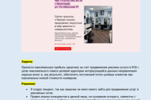 Кейс_ Рекламная кампания "Сложное окрашивание". Салон красоты.