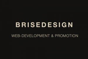 Разработка авторского сайта BRISEDESIGN