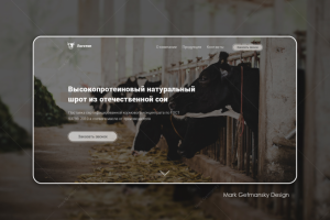 Соевые шроты