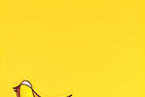 _______________________________