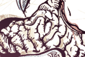 _______________________________