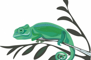 chameleon