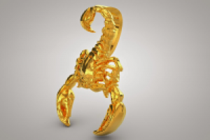 Scorpion_1