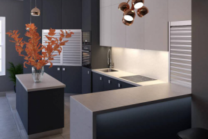 Разработка и визуализация кухни