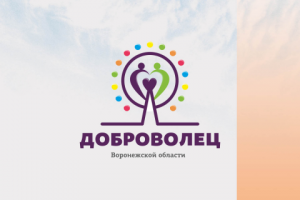 Логотип "ДОБРОВОЛЕЦ"
