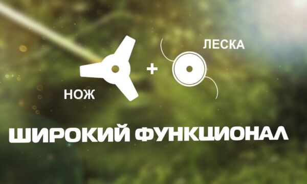 img3158144.png