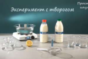 Опыт с творогом