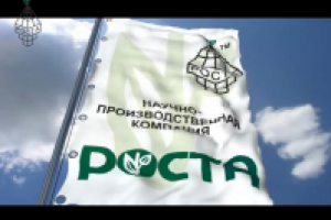 История развития компании РОСТА