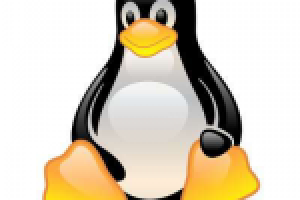 Свободные лицензии, статья