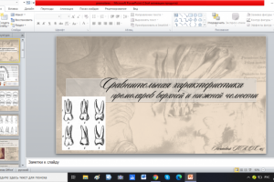 Презентация по дисциплине Анатомия