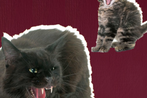 Хит для клубника