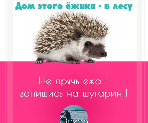 img3242361.png
