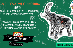 Веб-баннер для развивающего центра "Дом чудес