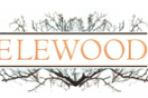 Название компании-производителя мебели