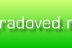 Домен для сети городских порталов