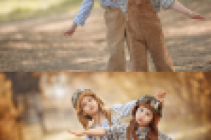 Работа 2736617