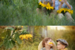 Работа 2736615