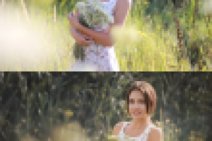 Работа 2736616