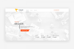 Стриж Express Design