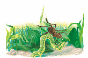 иллюстрация