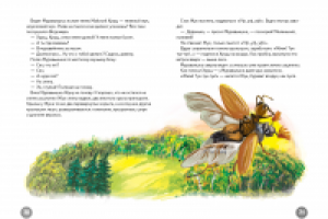 иллюстрация  к книге