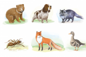 рисунки для учебников